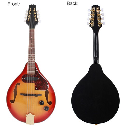 Electric mandolin style - mandolin, a-style