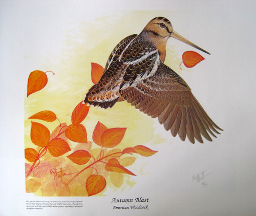 Autumn blast woodcock - autumn,