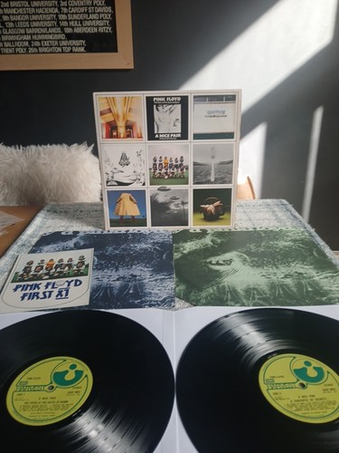 Pink floyd nice pair - floyd, a