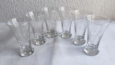 Vintage Set of 6 Etched Glass Tumblers - Elegant Botanical Design