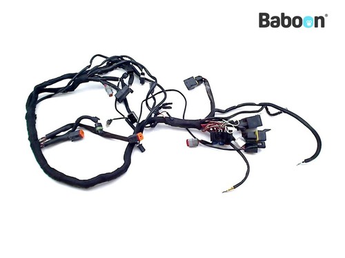 Wiring harness buell - (main),
