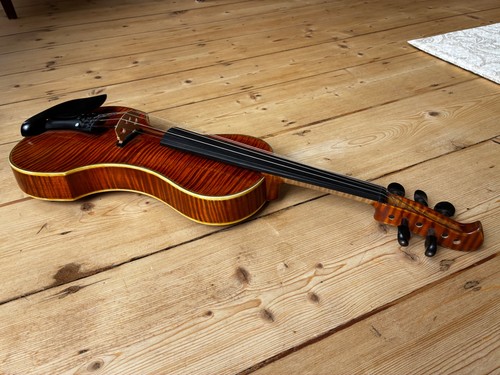 Professional string acoustic - 5,