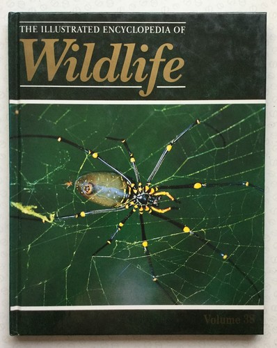 The illustrated encyclopedia - the,
