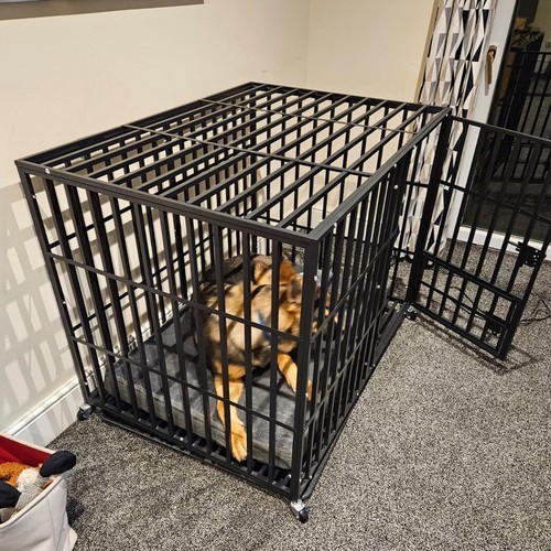 Indestructible heavy duty dog - indestructible,