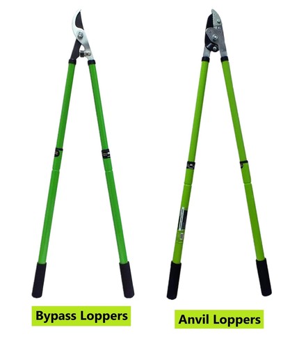 Branch pruner extending - branch,