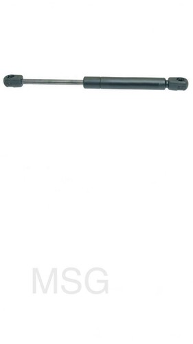 Door gas strut - ,