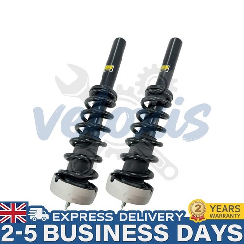 31314048552 front shock - 2x,