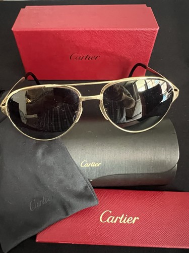 Cartier sunglasses with case - sunglasses,