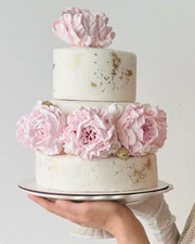 3x Marshmallow Peony Flowers