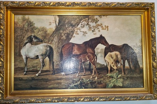 Mares foals by stubbs - mares,