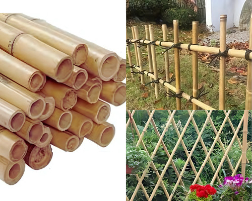 2ft bamboo canes strong - bamboo,