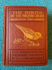Wayside & Woodland, Birds of the British Isles, Third Series 1926 1st edition