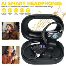 Translator Earphones W/