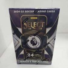 Panini Select Premier League