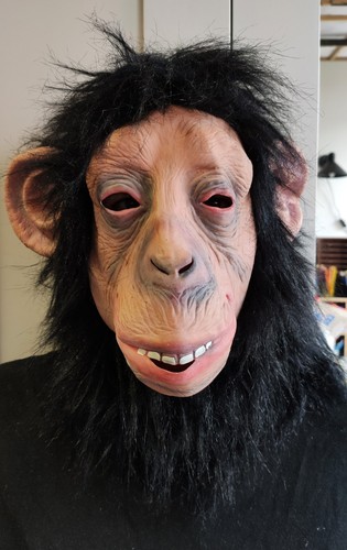 Realistic adult monkey mask - realistic,