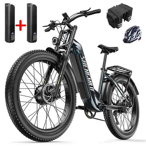 48v 25ah dual - ),