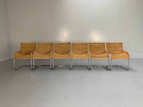Tacchini dining chairs - tacchini,