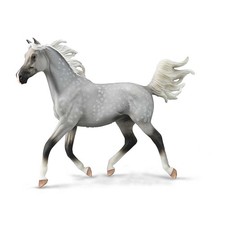 Collecta half arabian - half, stallion