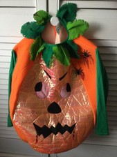 Vintage Woolworths Ladybird Spooky Pumpkin Childs Costume 4-7 Years 
