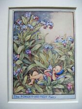 Forget Me Not Fairy Vintage Flower Fairies Print & Mount Cicely Barker c193's