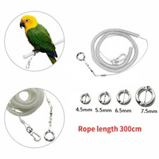 3M Leash Parrot Flying
