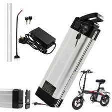 SilverFish 36V 10AH Electric