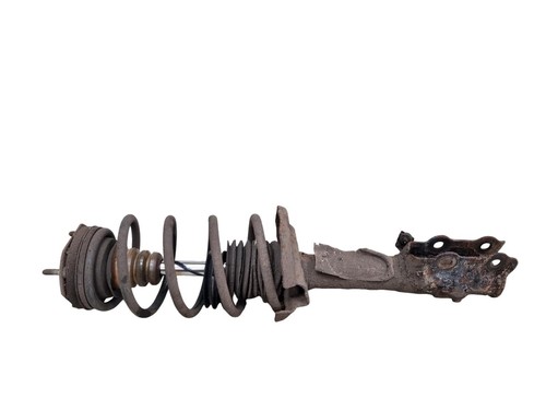 Ford fiesta strut shock - ford,