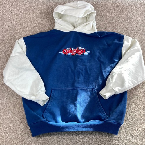 Childish theme park hoodie - theme,