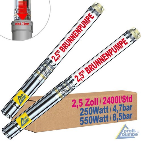 Electric submersible - 2.5",