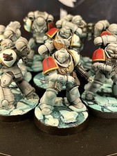 Warhammer 40k Army Space Wolves 8x Pro Painted Intercessors