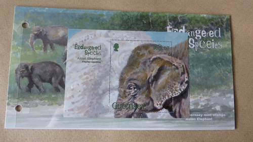 Guernsey 2010 endangered - guernsey,