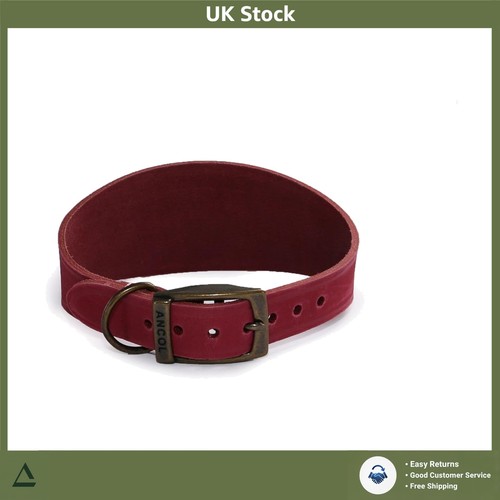 Leather greyhound collar - leather,