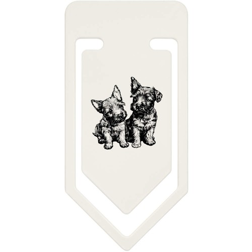 Scottish terrier puppies - terrier, puppies'