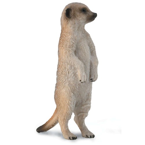 Collecta meerkat standing - collecta,