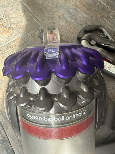 Dyson big ball - big, animal