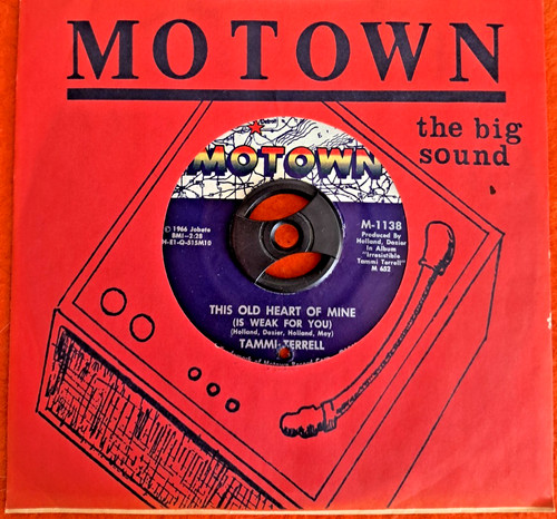 Northern soul tammi - northern, terrell