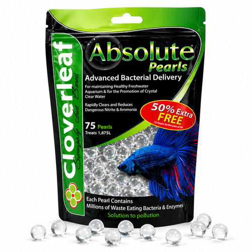 Cloverleaf absolute pearls - absolute, 75