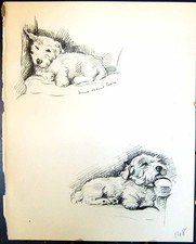 Original Old Vintage Print