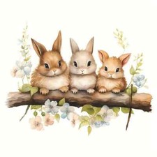 Bunny Rabbit Inspired Design