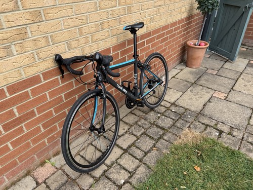Frog team sky edition - frog, road