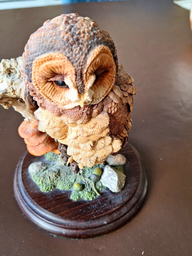 Country artists owl figurine - country,