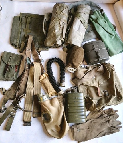 Polish army webbing - army,
