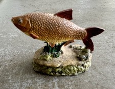 Rudd - The Anglers Showcase Collection - Danbury Fishing Angling (Not A Book)