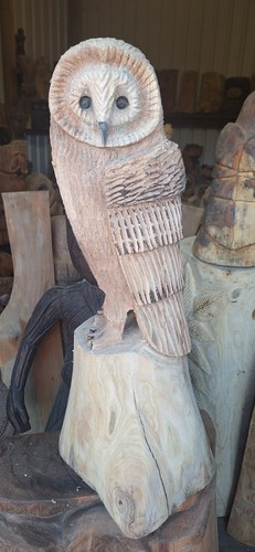 Chainsaw carving owl - chainsaw, home