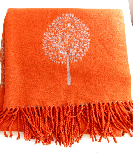 Cashmere scarf long soft - scarf,