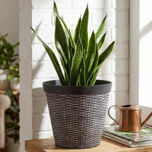 Garden gear rattan - gear,