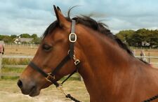 Windsor Leather Headcollar