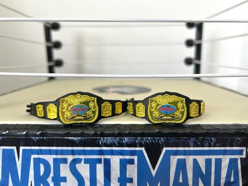 Wwe classic tag team - wwe,