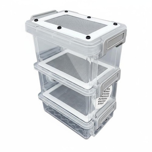 Mealworm breeding box - breeding,