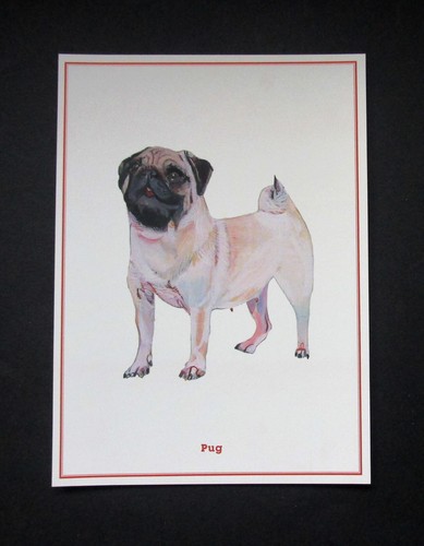 Craft beautiful 2011 the - craft, pug